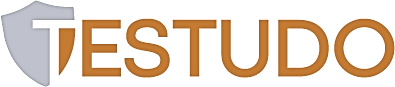 Testudo Srl Logo